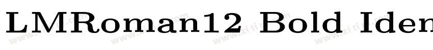 LMRoman12 Bold Ident字体转换
